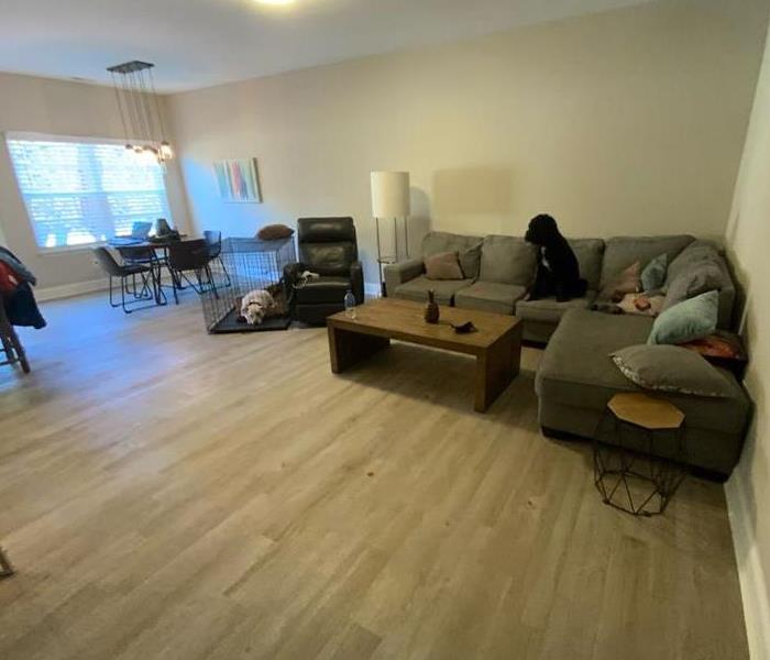 living room pre water mitigation services