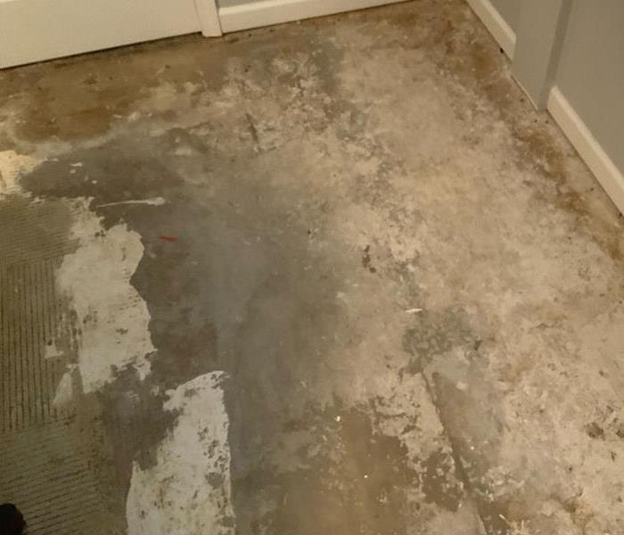 bedroom with carpet removed after water damage