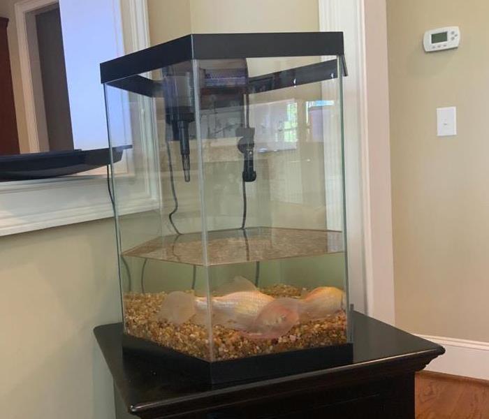 fish tank that leaked causing water damage to home
