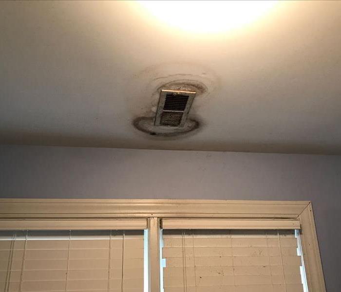cause of loss for mold damage